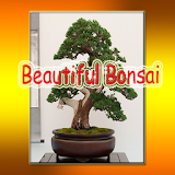 Beautiful Bonsai icon