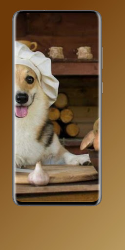 farmer dog food Screen 2