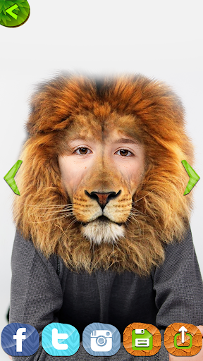 Animal Face Photo Montage