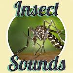 Cover Image of ดาวน์โหลด Insect Sounds  APK