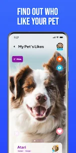 Furrple : Pet Dating App