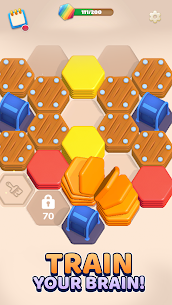 Hex Explorer 5
