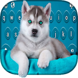 Siberian Husky Puppies Keyboard icon