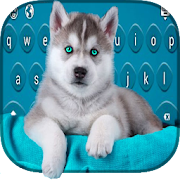 Siberian Husky Puppies Keyboard