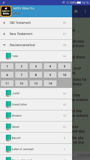 NRSV Audio Bible Pro screenshot 6