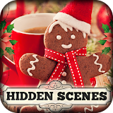 Hidden Scenes - Cozy Christmas icon
