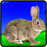 Rabbit Hunting Challenge icon