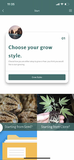 Learn to Grow Cannabis Screen 2