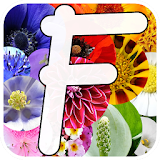 Gardening - flowering plants icon