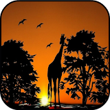 Free Giraffe Images icon