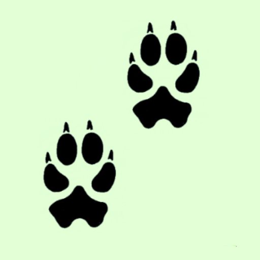 Les traces d'animaux 1.0.0 Icon