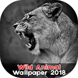 Wild Animal Wallpaper 2018 icon