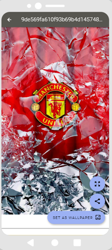 Man United Wallpapers 2025 HD screenshot 18