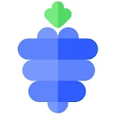 Raspberry Launcher icon