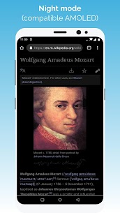 Kiwi Browser – Fast & Quiet 3