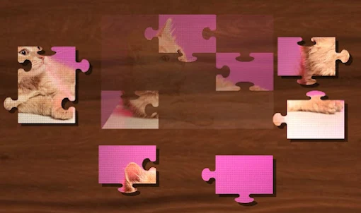 Fantastic Jigsaw Puzzle : Cats