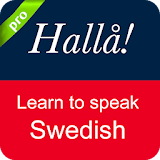 Swedish Conversation icon