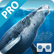 Sea World VR2(Pro) - Androidアプリ