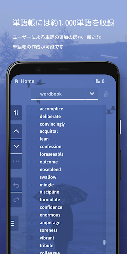 英語で解く自作クロスワード Screen 3