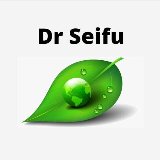 Dr Seifu logo