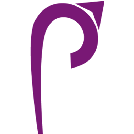 Payvider logo