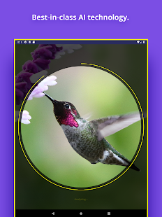 Bird Identifier Bildschirmfoto