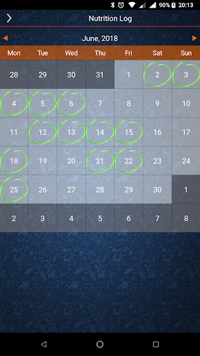 Diet Logger 101 Screen 3