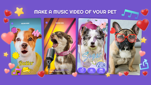 Star's Pets - Apps on Google Play