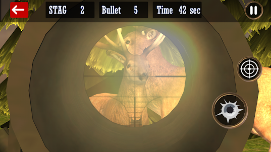 Deer Hunting - Expert Shooting
