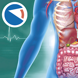 Imagen de ícono de Anatomia Super