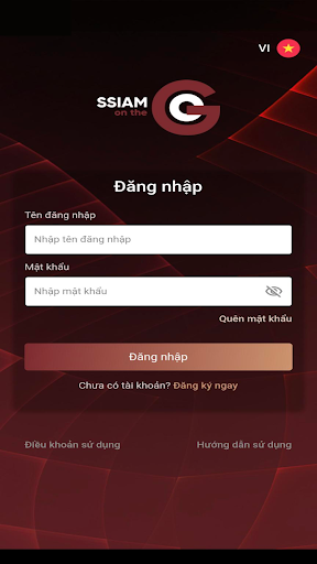 Vista previa de la aplicación