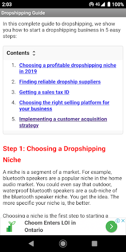 Dropshipping for Absolute Begi