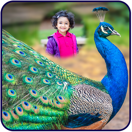 Peacock Photo Frames logo