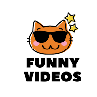 Download Funny videos- Short funny videos. Free for Android - Funny videos- Short  funny videos. APK Download 