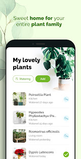 Lovely: Plants care and Inspiration