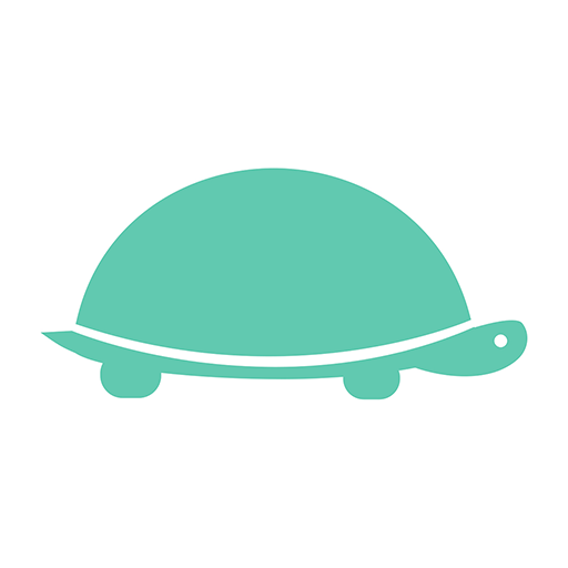turtle moments logo