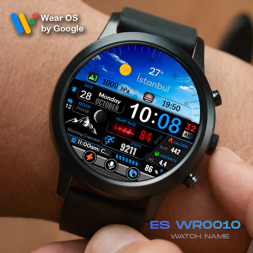 ES WR0010 screenshot 4