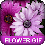 Flower GIF icon
