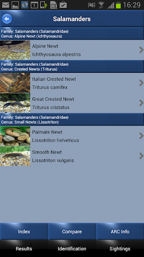 Reptiles and Amphibians - iden Screen 2