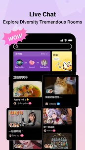 BiliBili for PC 2