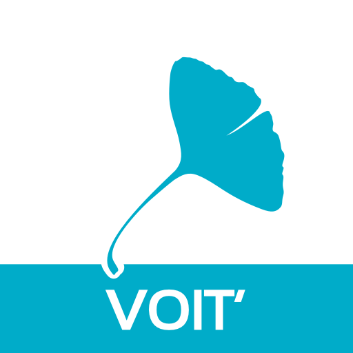 Ginko Voit’ logo