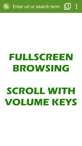 Tiny Browser Pro Screen 2