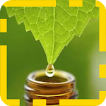 Cover Image of Descargar Homeopathy: natural medicine 3.0.0 APK