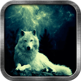 Storm Wolf Live Wallpaper icon