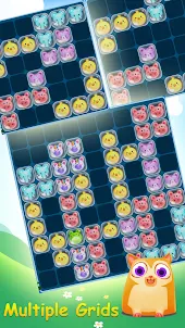 Block Game Puzzle of Pet World
