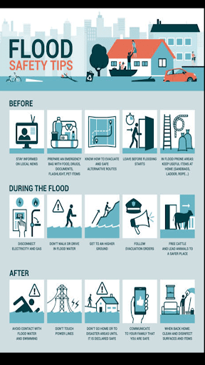 Flood Relief Steps Screen 2
