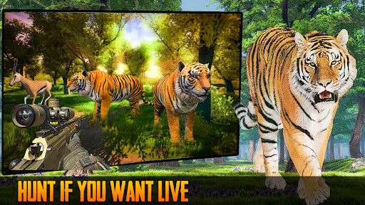 Animal Hunter 3D Shooter Games Screen 3