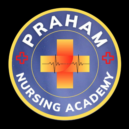 PRAHAM NURSING ACADEMY logo