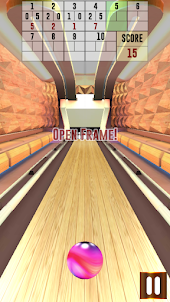 Premium Pro Bowling 3D