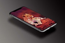 screenshot of Leopard Wallpaper